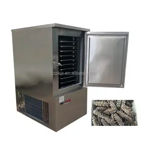 5/10 Tray Stainless Steel Quick Freezing Kitchen Meat Fish Chicken Fast Chiller Blast Freezer