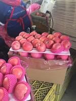 Nieuwe Oogst Van Chinese Verse Rode Fuji Appelfruit Verse Appels Koninklijke Gala En Rode Heerlijke Appels Verse Prijs Voor Groothandel
