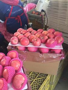 Nueva cosecha de fruta de <span class=keywords><strong>manzana</strong></span> Fuji roja fresca China Manzanas frescas Royal <span class=keywords><strong>Gala</strong></span> y manzanas rojas deliciosas Precio fresco para venta al por mayor - Product Image 6