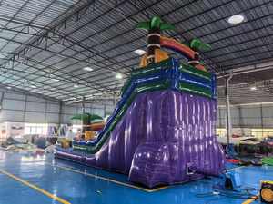 <span class=keywords><strong>Piscine</strong></span> <span class=keywords><strong>gonflable</strong></span> de <span class=keywords><strong>toboggan</strong></span> aquatique en PVC de qualité commerciale <span class=keywords><strong>avec</strong></span> <span class=keywords><strong>toboggan</strong></span> <span class=keywords><strong>gonflable</strong></span> - Product Image 4