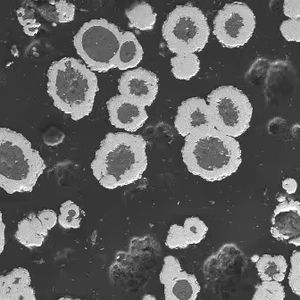 थर्मल स्प्रे अनुप्रयोगों मॉडल KF-<span class=keywords><strong>2</strong></span>/KF-6 के लिए बिग्रीम निकल-क्लैड एल्यूमीनियम पाउडर (नीक क्लाड मिश्र धातु 82% नी) - Product Image 2