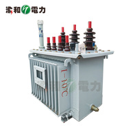 Transformador de Distribución Trifásico Sumergido en Aceite S11 IEC60076 Estándar 1mva 1600kva 2500kva 35kV 10kV 50/60Hz ONAN