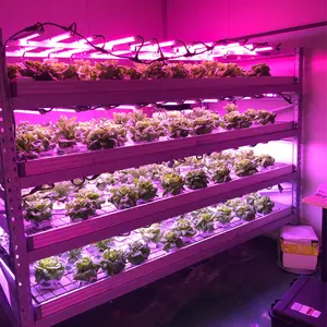 Sansi personalizado alto PPFD comercial hidropónico espectro completo LED crecer luces barra tira Fpr invernadero, horticultura