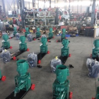 Machine Automatique de Fabrication de Granulés d'Aliments pour Bétail à Moteur Essence