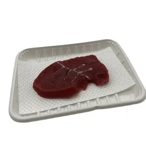 Saugfähige Lebensmittel Pads Marke Großhandel Supermarkt Frozen Chicken Beef Fleisch Kunststoff Tablett mit Absorbent Tray Pad