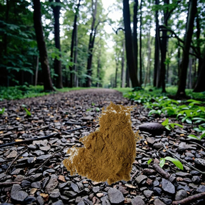 ผงสารสกัดจากวาเลเรียนแท้คุณภาพสูงปลูกป่าวาเลอเรียนา officinalis l. รากมีอยู่ในขวดแก้วหรือพลาสติก - Product Image 2