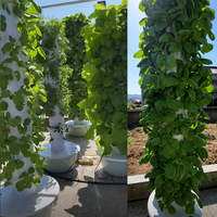 Tour hydroponique NFT à 13 étages, système de culture verticale pour 52 plantes avec pompe et minuterie pour l'agriculture intérieure avancée