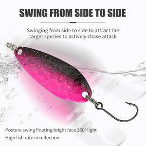 LUSHAZER Visserslokdoos Set Lepel Aas Metalen Hardlokaas voor Forel Snoek Baars OEM Kunstmatige Visuitrusting Zoetwater Vis Rivieren - Product Image 3