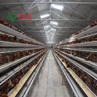 Fournisseur crédible Cages à plusieurs niveaux pour poules pondeuses poulets équipement avicole élevage de poulets