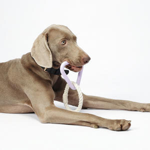 TPR corda di cotone intrecciata eco-friendly per animali domestici rimorchiatore di guerra giocattolo per cani per alesatura interattiva resistente ai morsi molari - Product Image 2