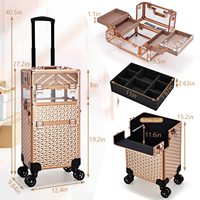 Valise de coiffeur 3 en 1, valise de formation en cosmétologie, valise pour technicien des ongles, coiffeur, maquilleur, valise de maquillage professionnelle à roulettes