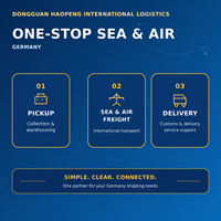Agent maritime Allemagne, transitaire aérien international, transitaire DDP, fret aérien de Chine vers l'Allemagne