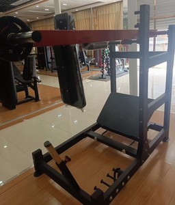 Attrezzatura commerciale per la bellezza con il culo a pendolo e tozzo per palestra da studio - Product Image 5