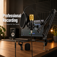 Kit de microphone à condensateur professionnel BM800 avec bras articulé et filtre anti-pop pour enregistrement en studio, podcast, diffusion en direct, karaoké