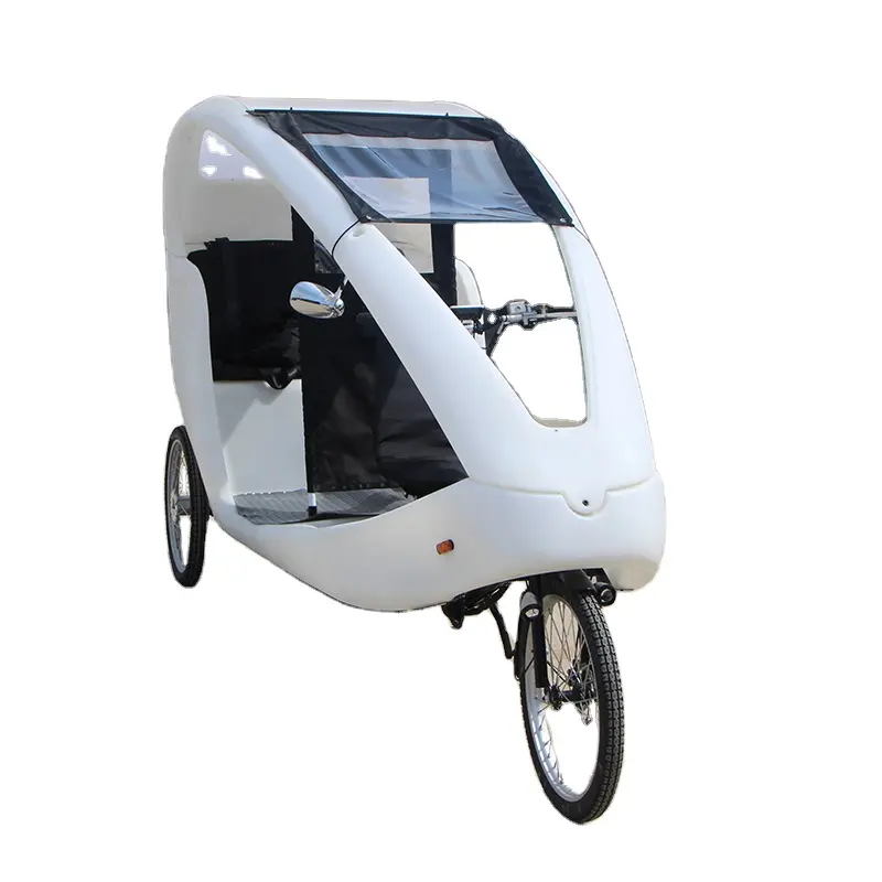 2021年新デザイン3輪カーゴバイク電動三輪車大人用三輪車カーゴ電動三輪車