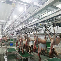 Maisheng musulmán oveja cabra Cordero equipo de matanza proyecto llave en mano máquina de matanza de cabra completa línea de matanza de ovejas