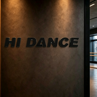 Enseigne Murale Commerciale Personnalisée en Acrylique 3D, Lettres en Relief Solides, Logo Élevé, Étanche IP65 pour Studio de Danse, Bureau, Voiture