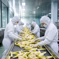 Kant-en-klare pittige bamboescheuten, ingelegde groentesnack, knapperig zuur voorgerecht voor groothandel