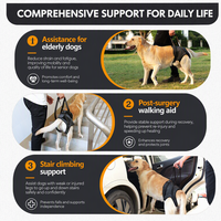 Harnais de levage pour chien de qualité médicale, soutien de la colonne vertébrale pour animaux de compagnie seniors, en maille respirante, polyester durable, toutes saisons, écharpe dorsale OEM