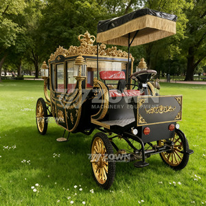 Chariot photo de mariage extérieur électrique noir mat doré, avec toit à franges, pneus antidérapants et alimentation au lithium - Product Image 4