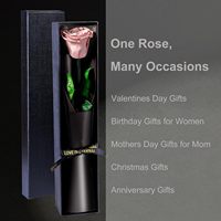 Konservierte Staubige Rosen Einzelstiel-Blumen für Frauen - Valentinstag & Muttertag Geschenk