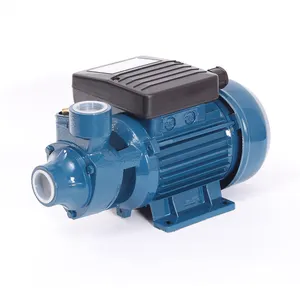 IDB/PM 1 hp peripheral pump surface electric water pump