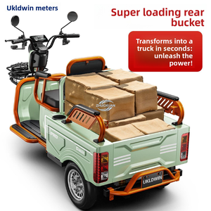 No-Petrol Electric Trike | <b>Passenger</b> & Cargo Dual Use Battery Vehicle for Kids School Pickup & Daily Use - Product Image 6