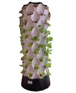 Aquaponics หอปลูกสับปะรดเรือนกระจกในฟาร์มปลูกพืชไร้ดินระบบสวนแนวตั้ง - Product Image 2