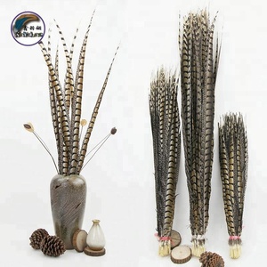 Chất Lượng Cao Màu Sắc Tự Nhiên Brazil Carnival Lady Amherst Lông Chim Trĩ 110-120 Cm (44-48 Inch) cho Biểu Diễn - Product Image 5