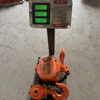 1T kapasitas 3M panjang 1 Set Harga penting Model tangan Hoist Manual rantai blok 1000KG