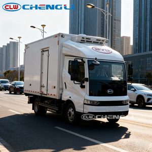 Camión Eléctrico para Cadena de Frío BYD T5 EV de Temperatura Constante y Cero Emisiones con Caja de Carga Refrigerada Aislada - Product Image 6