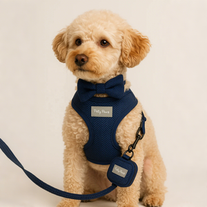 Tùy Chỉnh Con Chó Khai Thác Biểu Tượng Không Có Kéo Tweed/Nhung/Nhung Harris Vòng Cổ Vật Nuôi Khai Thác Và Dây Xích Thiết Lập Với Vải Poop Túi Chủ - Product Image 2