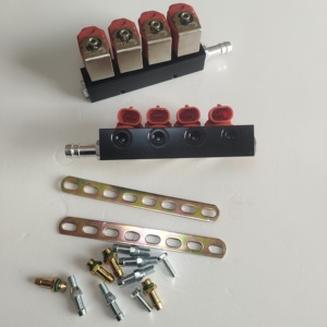 CNG-Gas-Zubehör und -Armaturen Aluminium-Führungsschiene für 4-Zylinder-Kraftstoffeinspritzer von CNG-Fahrzeugen CNG-Gasbetriebene Schienenfahrzeuge - Product Image 4