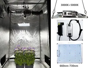 Growtent 4x4 Grow Tent Complete Kit Mushroom Grow Kit Easily Assembled Hydroponic Tent Plant Tent