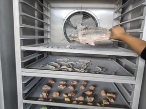 -196 ℃ Congelador de nitrógeno líquido de temperatura ultrabaja Congelador de nitrógeno líquido de mariscos comercial Congelación rápida de cinco minutos - Product Image 4