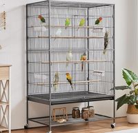 Grande volière noire en fil métallique sur base mobile à roulettes avec rangement inférieur et perchoirs en bois pour l'élevage à domicile de plusieurs perroquets de taille moyenne