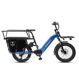 Bicicleta Eléctrica de Carga TXED con Llantas Gruesas de 20x4.0'', 750w, Batería de Litio de 48V 20Ah, Frenos de Disco Hidráulicos, Gran Autonomía, Bicicleta Familiar - Product Image 3