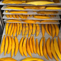 Séchoir automatique pour prunes et abricots, machine de séchage de fruits, équipement de déshydratation alimentaire adapté à la séchage des pruneaux, figues, cerises et bananes