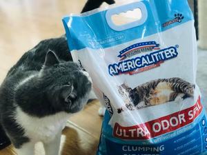 Litière <span class=keywords><strong>pour</strong></span> <span class=keywords><strong>chat</strong></span> en bentonite de qualité supérieure, très vendue, OEM/ODM, prix abordable, sans poussière, forte agglomération, litière <span class=keywords><strong>pour</strong></span> <span class=keywords><strong>chat</strong></span> en bentonite brisée - Product Image 4