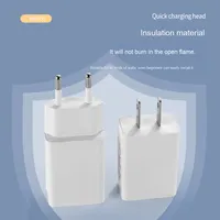 Kompakter Haushalts-Sicherheits-Rüttelkopf-Stromadapter 5V1A Ladeadapter Europäischer Amerikanischer USB-Stecker Typ-C Praktisch
