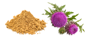 高純度食品グレードミルクシスル種子エキス80％シリマリンパウダー（ガラス容器入り） - Product Image 2