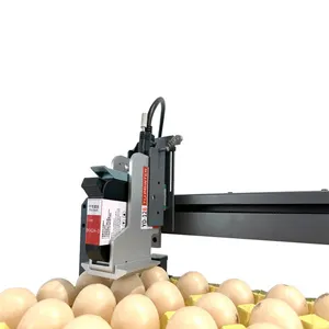 Quick Dried Egg Printing Inkjet Printer Double Row Labeling Machine com pulverização de tinta para etiquetas de solo e ovo