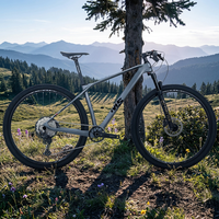 Vélo de montagne Twitter M5 avec cadre en carbone, roues de 29 pouces, frein à disque M6100-12S, pédale ordinaire XC Cross-Country, 12 vitesses, vélo de montagne pour hommes