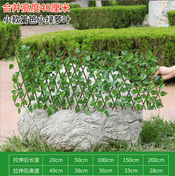 #1-40cm petite feuille