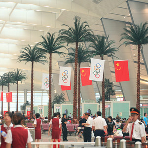 Nuevo tipo de <span class=keywords><strong>plaza</strong></span> paisaje decorativo y hojas de palma árbol con 3 troncos - Product Image 5