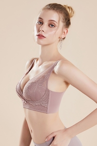 2026 Sexy Ladies Bra Underwear Women Wire Free Custom OEM Silk Bra for Women - Product Image 5