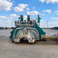 Groupe électrogène à vapeur à biomasse de balles de riz pour projets d'utilisation énergétique des centrales de chaleur