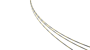 Guia Endoscopic <span class=keywords><strong>zebra</strong></span> <span class=keywords><strong>Guide</strong></span> <span class=keywords><strong>Wire</strong></span> untuk Mendapatkan Akses Ureteral - Product Image 2