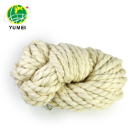 Wholesale Raw Fancy Wool Worsted Yarn 8000Tex Sewing Use 100% New Zealand Wool Yarn