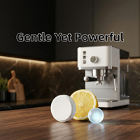 Fabricant OEM ODM de tablettes de nettoyage solides écologiques de qualité supérieure pour machines à café, détartrant et dégraissant pour machines à expresso
